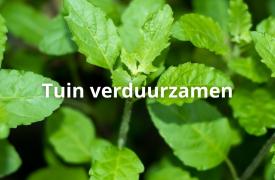 Subsidie voor een klimaatvriendelijke tuin: doet jouw gemeente mee?