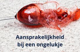 Een onhandig ongelukje bij iemand anders thuis, ben je verzekerd?